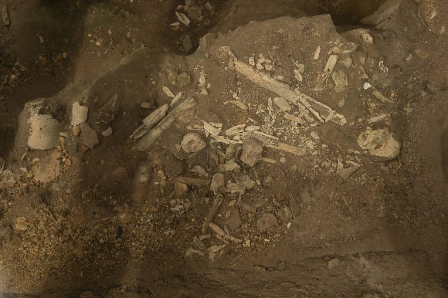 17202315036688a64f5bee1_1720231503_3x2_md