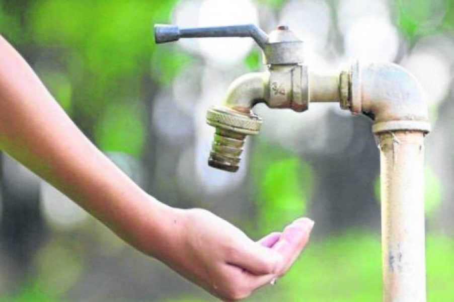 1_pri_2908_0660_19cm_cor-6829812 1_pri_2908_0660_19cm_cor-6829812