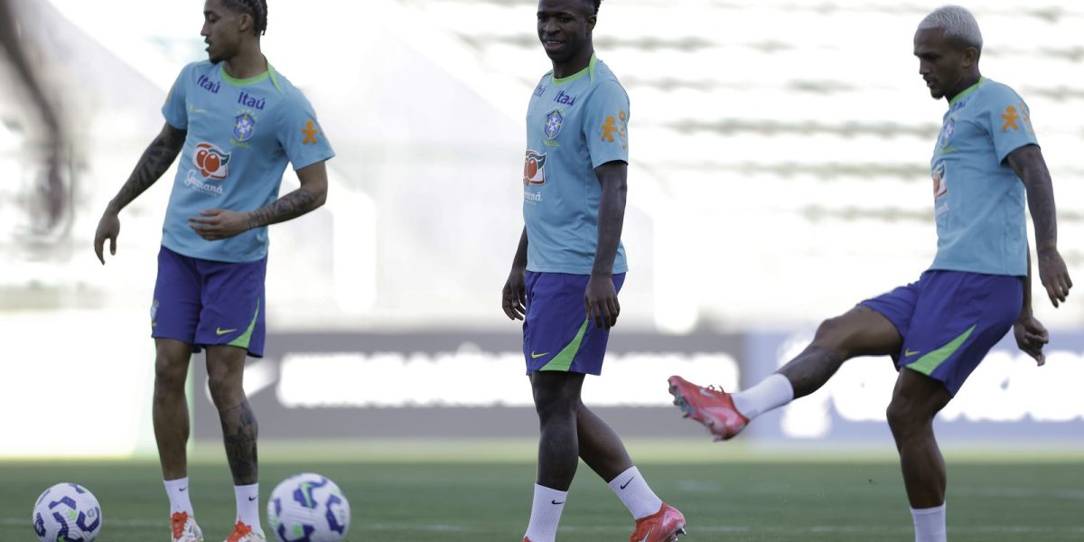 54396082124_b8fd34cc14_o