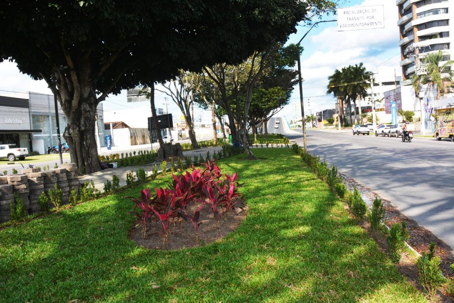 Canteiro-Central-da-Av-Geatulio-Vargas-fotos-Jorge-Magalhaes-7 Canteiro-Central-da-Av-Geatulio-Vargas-fotos-Jorge-Magalhaes-7