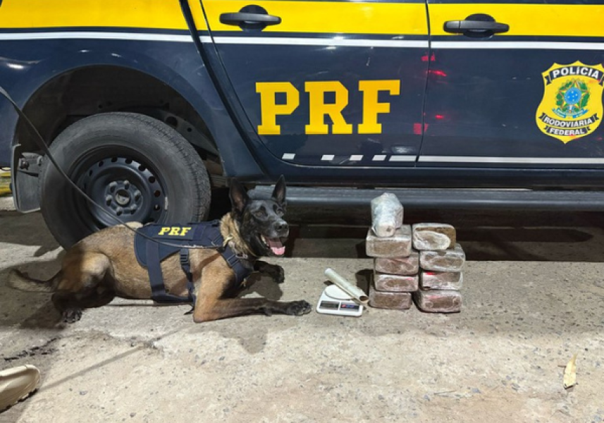 Policia-Federal-2025-03-21T094409.617