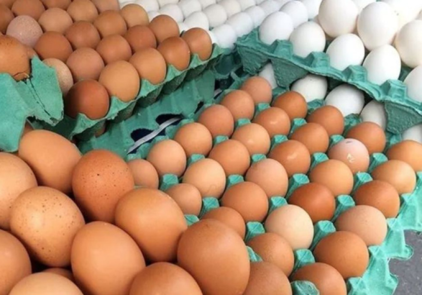 Policia-Federal-90 Policia-Federal-90