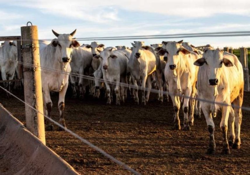 WhatsApp-Image-2024-10-29-at-14.21.59