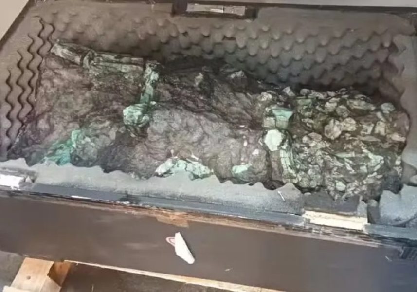 WhatsApp-Image-2024-11-22-at-19.06.34