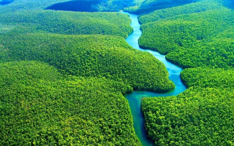 amazonia amazonia