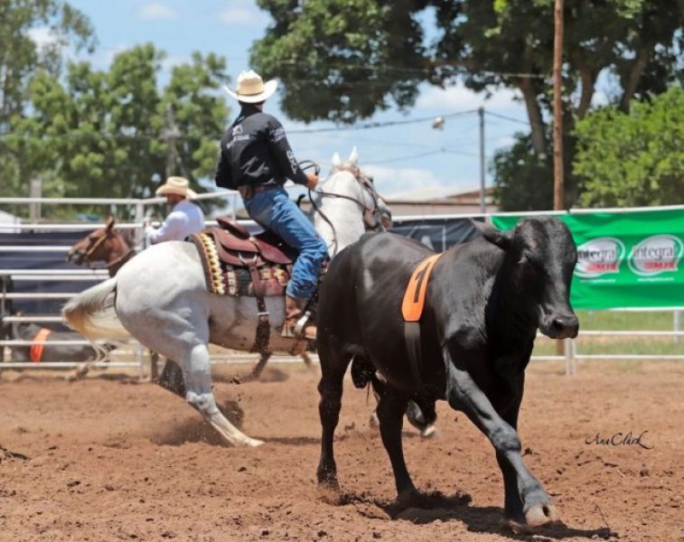 b2ap3_medium_Campeonato-de-Team-Penning
