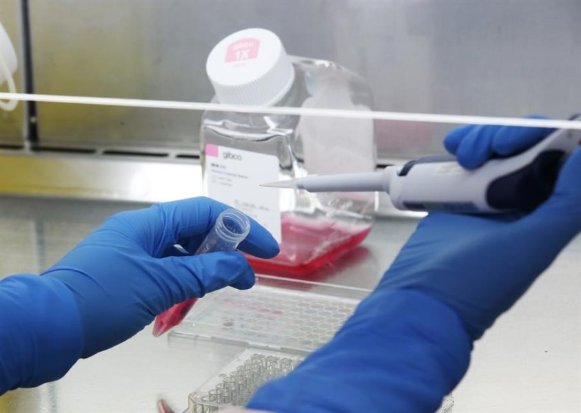 pesquisas-coronavirus-efe-david-crosling pesquisas-coronavirus-efe-david-crosling