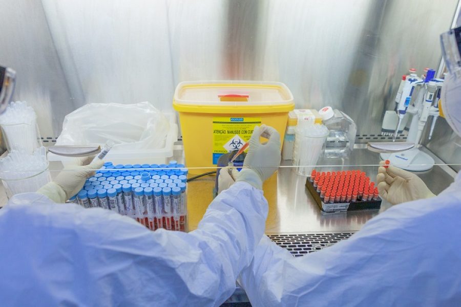 variantes-capa-3c80537579bbdb9e